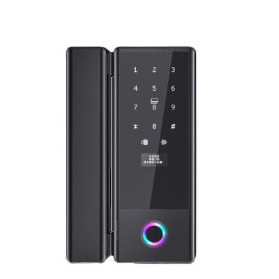 China Fechadura de porta de vidro deslizante biométrica inteligente G10S Fechadura de porta inteligente avançada à venda