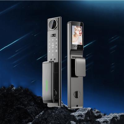 China 3D Face ID Electronic Entrance Door Locks Apartments Face Recognition Digital Lock for sale