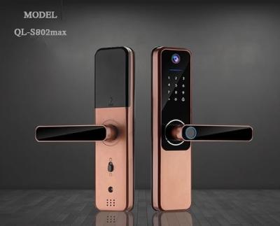 Chine Fermeture de porte à piles alcalines durables Tuya Bluetooth Fermeture de porte à empreintes digitales à vendre