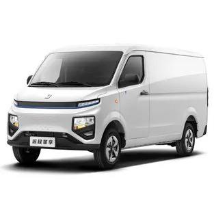 China Two-Seater Van with Long-Distance Remote Star Share V6E Fast Charging and Large Space for sale