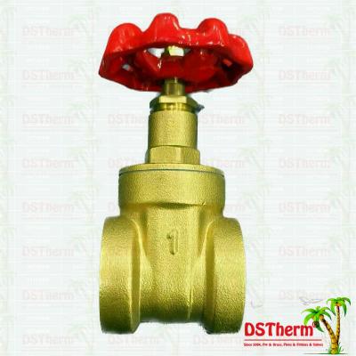 China Flexible Brass Gate Valve With Plastic Part Ppr Coated Check Valve for sale