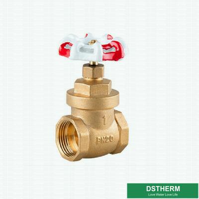 China Customized 200 WOG BSPT NPT Big Style Brass Gate Valve  With Red White Iron Handle for sale