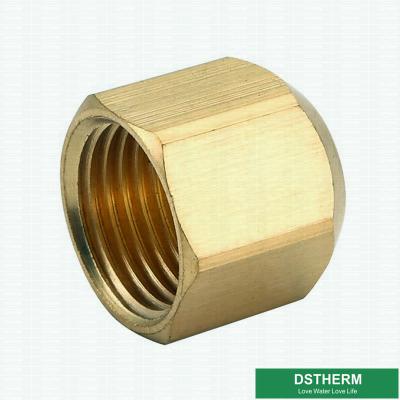 China 45 Degrees Brass Angle Flare Fitting Female Threaded Pipe Plug Pipe Fittings For Gas Pipe Fittings for sale