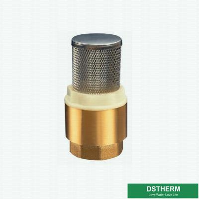 China Customized Heavier Type Brass Check Valve Vertical Stainless Steel Filter For Water Pump for sale