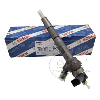 China 0445110646 0445110647 BOSCH Diesel Fuel Injectors Common Rail Injector 0986435166 0986435167 for sale