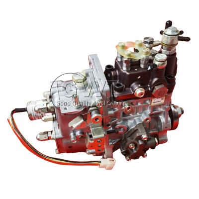 China R232XS65 DELPHI Diesel Fuel Injection Pump High Pressure Direct Injection 729974-51400 for sale
