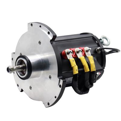 Cina 24V 3KW 9.6Nm Tamagawa17-bitassoluto Servomotore di trazione elettrico per carrelli elevatori in vendita