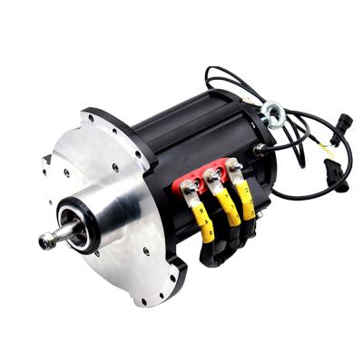 Cina 24V 3KW 9.6Nm Tamagawa17-bitassoluto Servomotore di trazione elettrico per carrelli elevatori in vendita