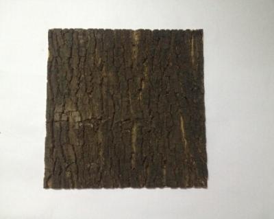 China Second-layer Nature Cork Bark tiles,for wall,ceiling decoration for sale