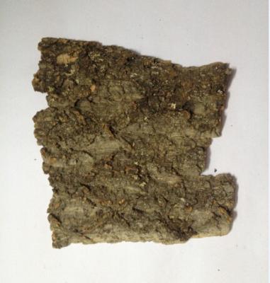 China Randomly size,Frist-layer Nature Cork Bark Tiles,for Animals Enclosures for sale