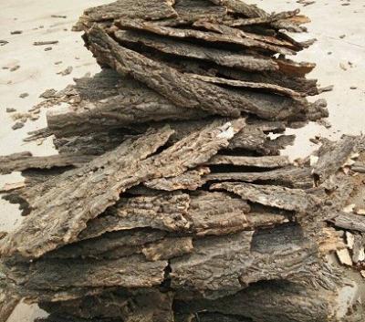 China Randomly Size,Frist-Layer Nature Cork Bark tiles,for animals enclosures,wall decoration for sale