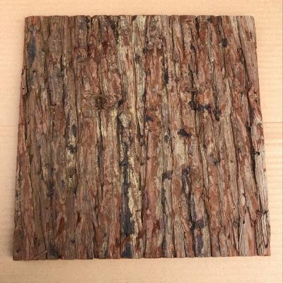 China 300*300mm Standard Size Frist-Layer Fir Bark tiles with Cork Back for Wall Decoration for sale
