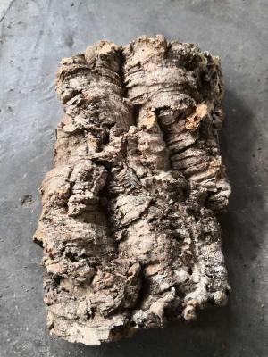 China Casca da cortiça do Virgin da espessura da venda por atacado 3~4cm da fábrica perfeita para plantas, bromeliáceas & orquídeas de ar de Dispalying à venda