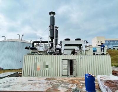 China Cummins Natural Gas Generator Green Power for sale