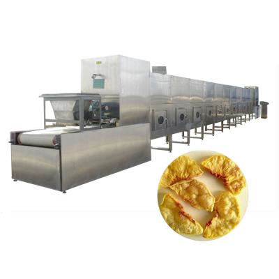 China Máquina de la esterilización de la sequedad de la microonda del kiwi 30kw del albaricoque en venta