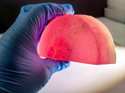 Κίνα Εργαστήριο δημιουργήθηκε ροζ σαφείρι μονοκρυστάλλιο πρώτες ύλες ελεύθερα σχήματα για τις πολύτιμες πέτρες προς πώληση
