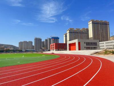 China Resistencia a la intemperie EPDM de caucho pista de atletismo suelo de 13 mm de espesor en venta