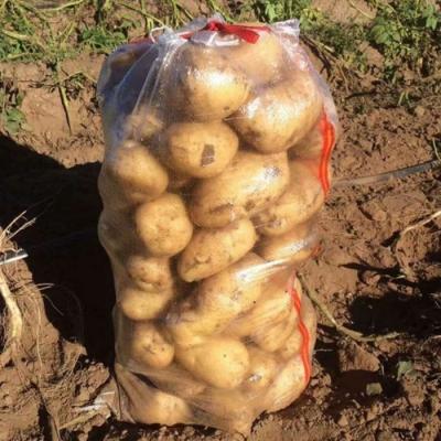 China 25kg Transparent Pp Woven Bag For Potato Onion Transparent Woven Bag for sale