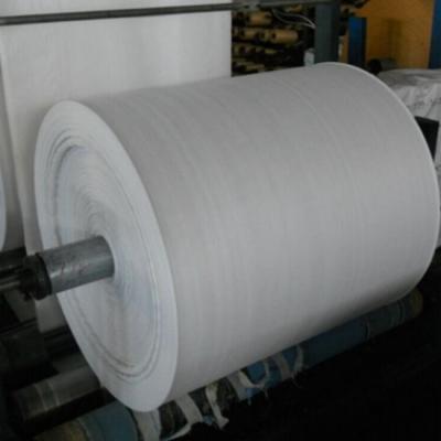 China china white PP Woven fabric Roll for pp woven Sack bag for packaging rice etc. for sale