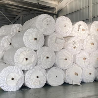 China PP Woven Feed Sand Bag Roll/PP Woven Fabrics And Sacks for sale