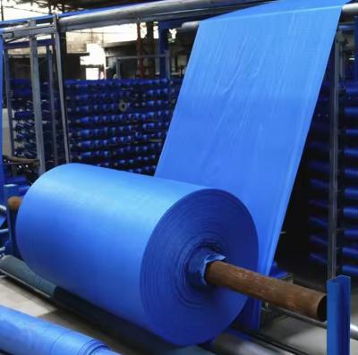 Chine Le tissu tissé en PP est la solution idéale pour la construction industrielle et l'emballage alimentaire à vendre