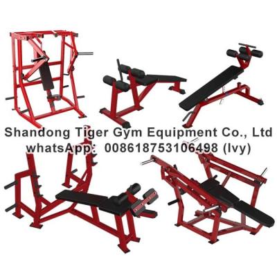 China Gym Fitness Equipment Olympic / Iso-Lateral / Adjustable Decline Bench / Olympic Decline Bench exercise machine for sale