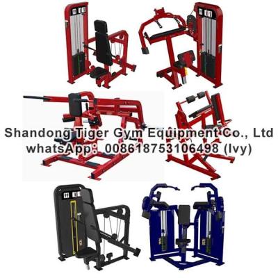 China Gym Fitness Equipment Seated dip / Triceps extension exercise machine for sale