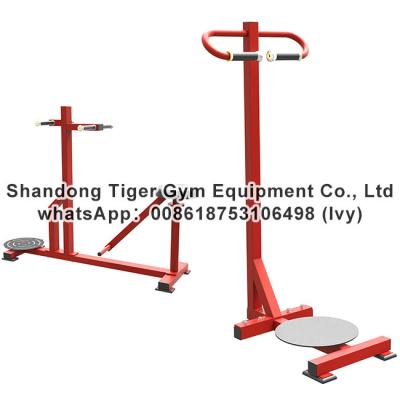 China Gym Fitness Equipment Stand Torso exercise machine for sale
