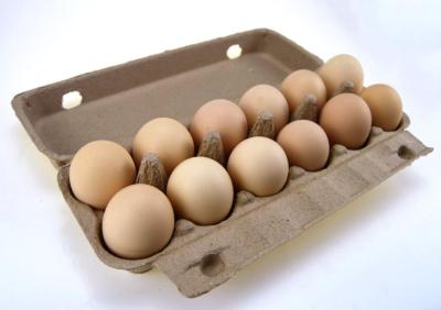China Cadena de producción renovable moldeada papel del cartón de huevos 1500pcs/hr 100kw en venta