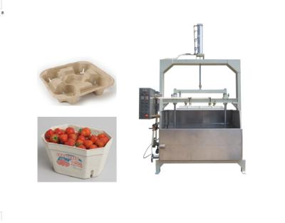 China Renewable Paper Molded Machine For Making Egg Carton Fruit Tray Coffee Cup Tray à venda