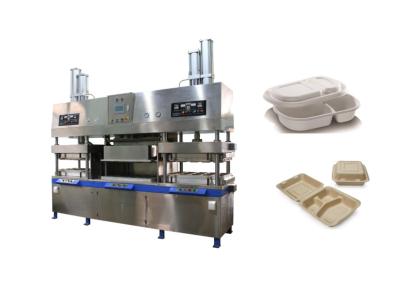 China Stainless Steel Bagasse Plates Manufacturing Machine Pulp Molding Tableware Production Line for sale