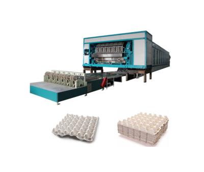 China Electric Automatic Egg Tray Machine 5000pcs / Hour Customized Size for sale