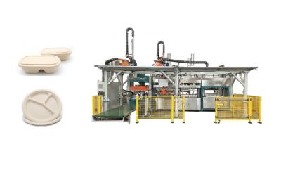 China Almoço biodegradável Tray Pulp Molded Production Machine à venda
