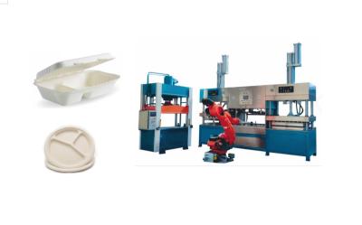 China Biodegradable Pulp Molded Coffee Cup Production Line for sale