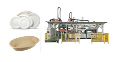 China Polpa biodegradável máquina moldada dos utensílios de mesa à venda