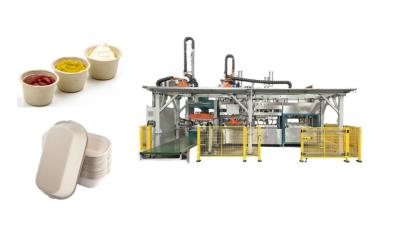 China Smart Paper Molded Unbleach Fast Food Tray Production Line With Double Walking Robot Arm for sale