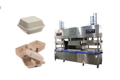 China Biodegradable Pulp Molded Clamshell Box Machine for sale
