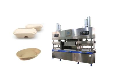 China Pulp Molding Fiber Compostable Disposable Food Tray Machine for sale