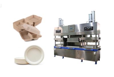 China Bleach Pulp Sheet Dry In Mould Machine To Make Paper Plate And Burger Container for sale