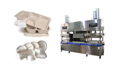 中国 Thermoforming / Wet Pressing Biodegradable Tableware Machinery With PLC Control 販売のため