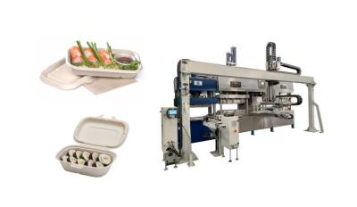 China CE Virgin Pulp Molded Tableware Machine For Thermoforming Wet Pressing en venta