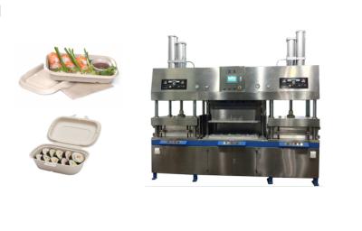 Cina Disposable Pulp Molding Lunch Box Making Equipment in vendita