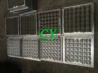 China Die Casting Paper Pulp Mold 30 Cavity Paper Pulp Moulded Trays for sale
