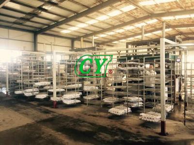 Chine Chaîne de production écologique de carton d'oeufs de machine de séchage de pulpe à vendre