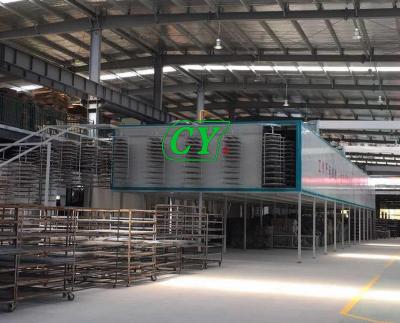 China Recycle Pulp Drying Machine Pulp Egg Tray Drying Line Energy Saving for sale