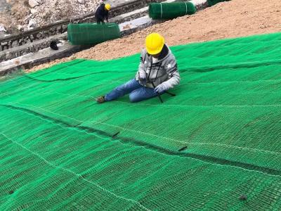 China 3mm HDPE Erosion Control Geomat Drainage Mat For Construction for sale