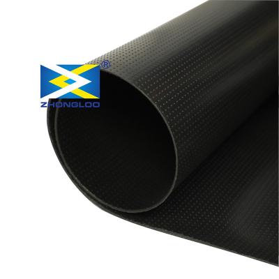 China 2mm Waterproof Plastic Textured Geomembrane Geomembrana Hdpe 30 Mils Pond Liner for sale