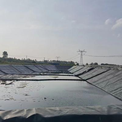 중국 저수지 댐 양어지 새우 양식업 HDPE를 채굴하기 위한 HDPE 차수막 라이너 판드 라이너 판매용