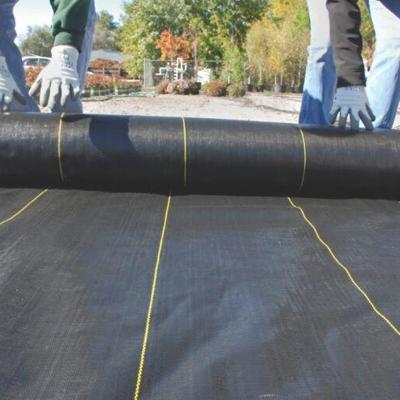 China Stabilization PP Geotextile Geogrid Woven Fabric For Soil Reinforcement Product for sale