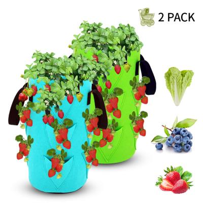 中国 Nonwoven Fabric Strawberry Grow Bag Plant Pots 販売のため